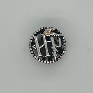 Sterling Pandora Harry Potter Charm